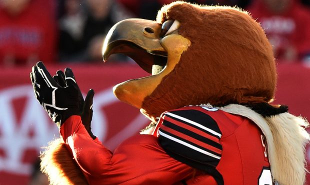 The Utah Utes mascot "Swoop" performs during the game between the Washington State Cougars and the ...