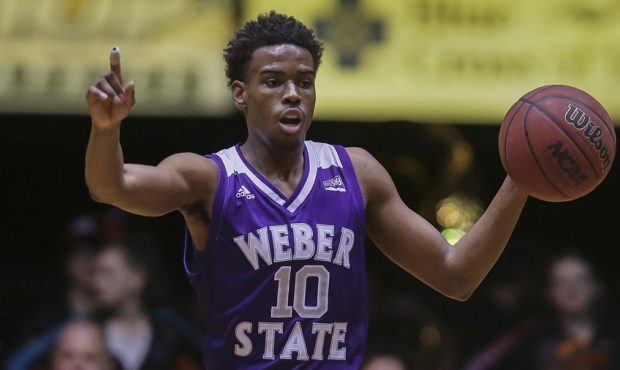 Jerrick Harding - Weber State Wildcats Men's Basketball...