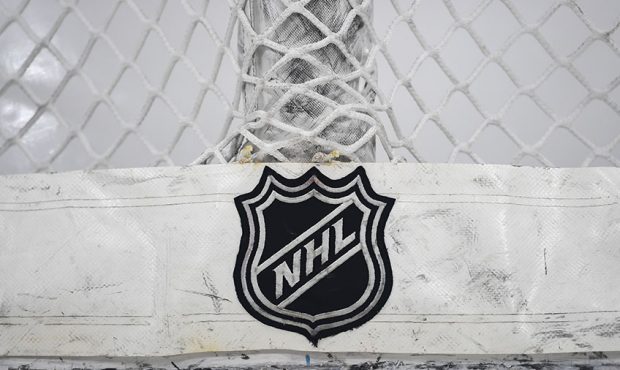 A general view of an NHL logo on the back of a net during warms up prior to a game between the Chic...