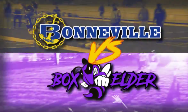 Bonneville Lakers - Box Elder Bees...
