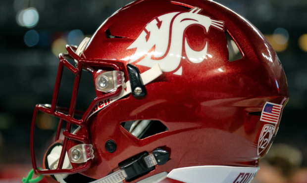 Washington State Football Helmet...