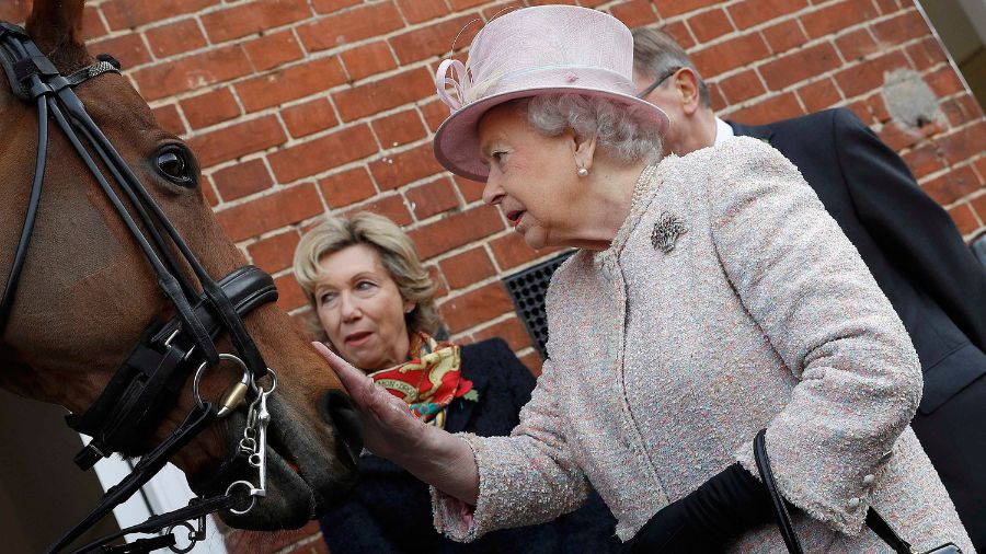 Queen Elizabeth II - Patting - A - Horse...