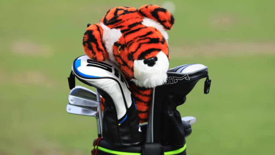 Tiger-Woods-Golf-Bag...
