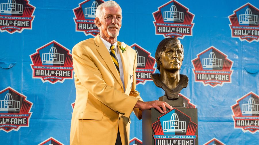 Ray-Guy-2014-NFL-Hall-Of-Fame...