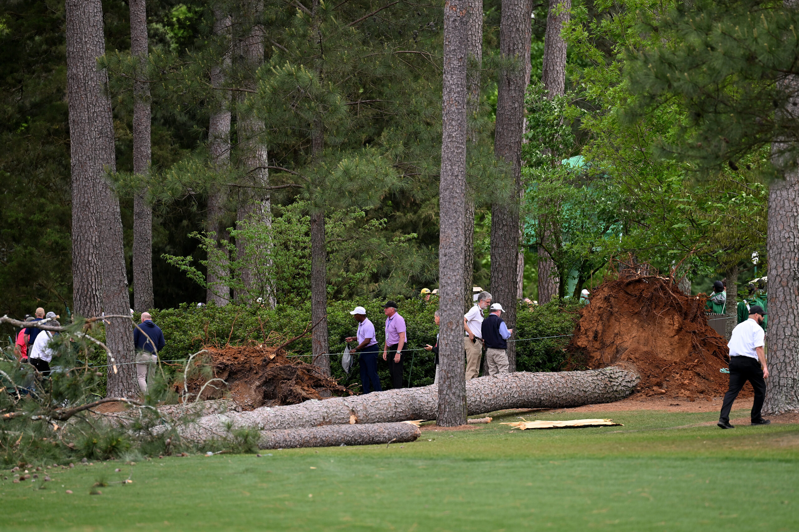 Instant Replay Play Suspended After Two Trees Fall At Masters