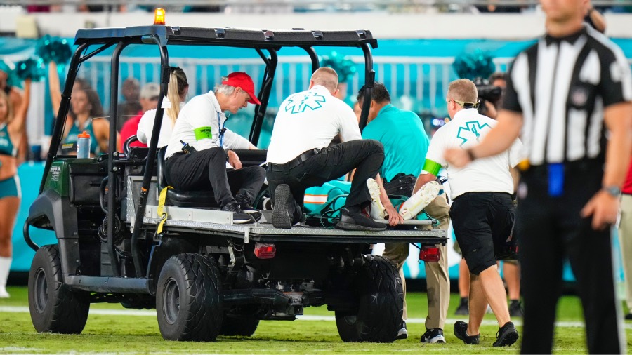 dolphins injury